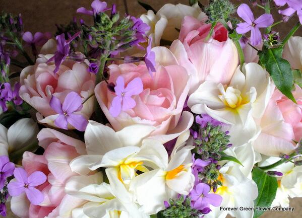 fgflowers tweet picture