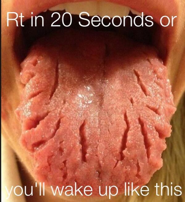 _Ollie's tweet image. Holy shit!