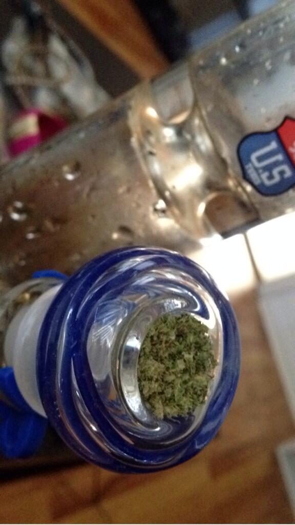 kyliehoff4759's tweet image. #ustubes #vanillakush ❤️💛💚