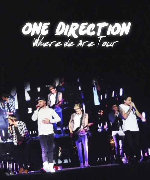 PaolaEc9's tweet image. #OneDirectionArePeruvian ♥ @onedirection 😍😍😍