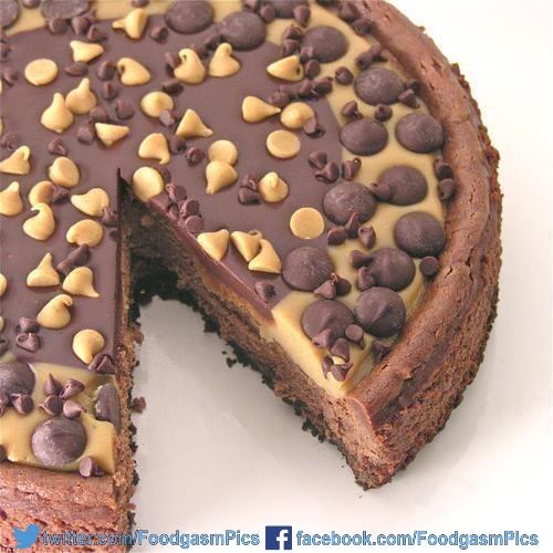 FoodgasmPics's tweet photo. Peanut Butter Cheesecake: http://t.co/xty7GKVE8y