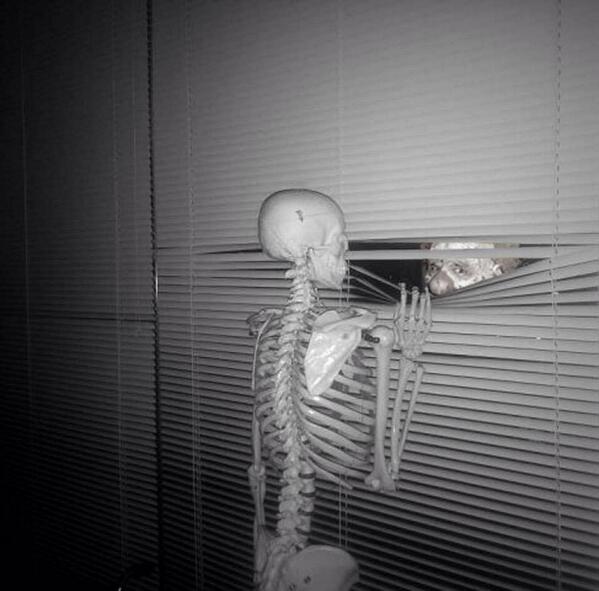 SkeletonFactory's tweet image. RT @AxeytheClown: @SkeletonFactory @fearthecrypt Peek-a-booooooooo!!!!