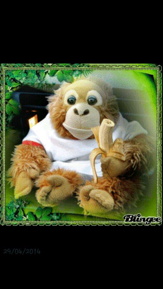 No al racismo🚫No hay raza pura! Basta de tanto Etnocentrismo🍌🍌🍌#SomosTodosMacacos