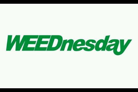 BadeerWear Sk8 tweet media