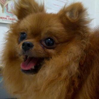 VinnieXavier_'s tweet photo. Good morning all... http://t.co/WcKrvfJUds