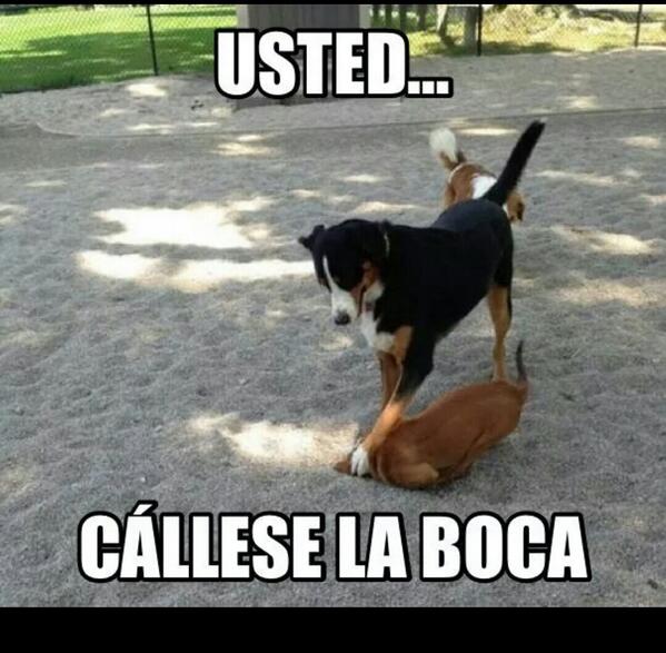 AcuaOaa's tweet photo. Aveces sincronizamos la boca con las nachas; nomas hablamos y la cagamos!!! http://t.co/qz3kaRrfQB