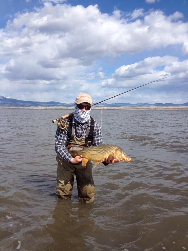 Mwarner3rd's tweet photo. @flyfishsage @CarpPro_Flyfish @USCarpPro @RIOProducts @BuffInc #carponthefly #buffedout #rio #riogold @nativeyewear http://t.co/8OD5bBzxXq