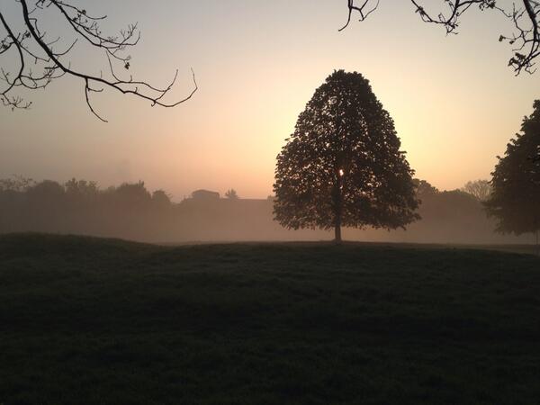 AngieHobbs's tweet photo. Hanger Hill Park Ealing @ 6.30am http://t.co/lJcvqyj70T