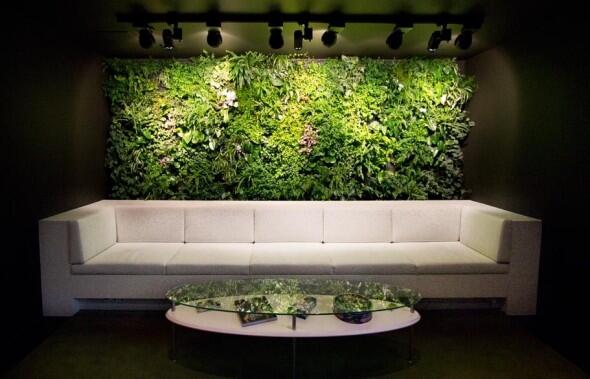 Piluladodiasegu's tweet photo. Indoor Vertical Garden http://t.co/p5nJhsp9GL