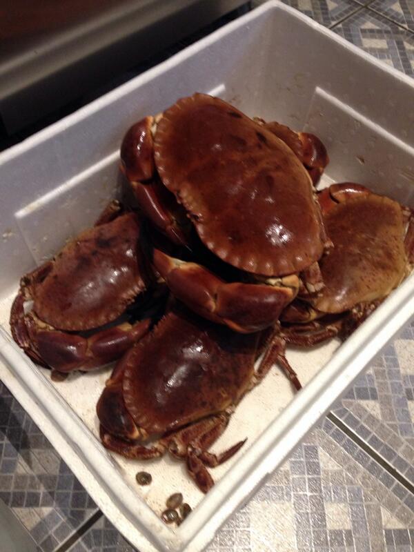 Chef_J1M's tweet photo. Good morning http://t.co/VgaBWptxMb