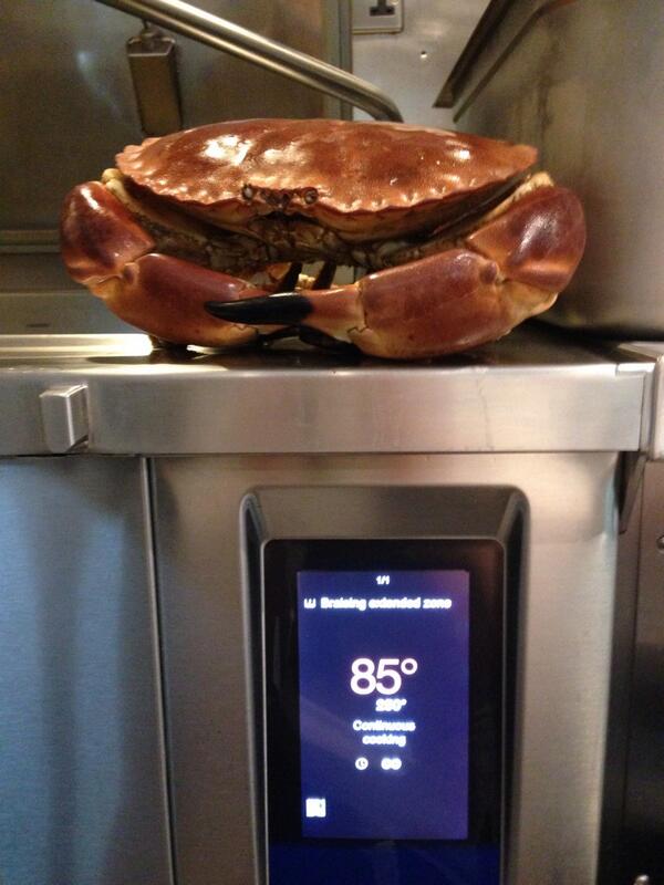 ChefJoshgreen's tweet photo. Amazing Cornish cock crab http://t.co/1DKe6SmtQe
