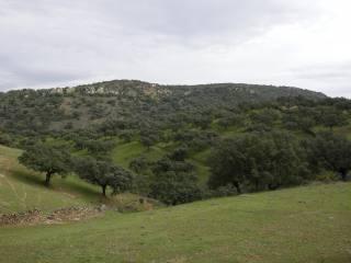 Coonchaaa's tweet photo. @KQEDedspace Badajoz, wheremygrandparentslive. Aperfectplaceto relax and forget the problems. #DoNowGreen #donow_urjc http://t.co/zTRCf2gZPq