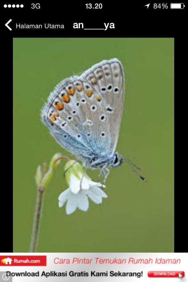 PathoRobens's tweet image. 