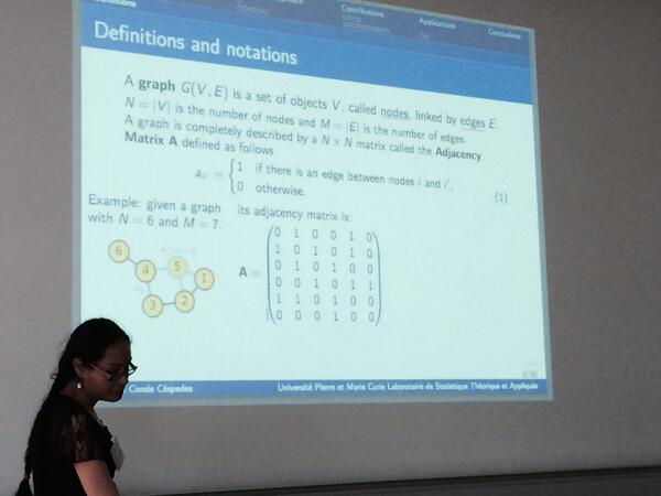 emmv's tweet image. Patricia Conde-Cespedes on graph modularization criteria #aafd14 #communitydetection