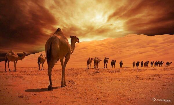 Gabriele_Corno's tweet photo. Sahara by Ali #Journey #CGE #Desert http://t.co/5odCXh63QY