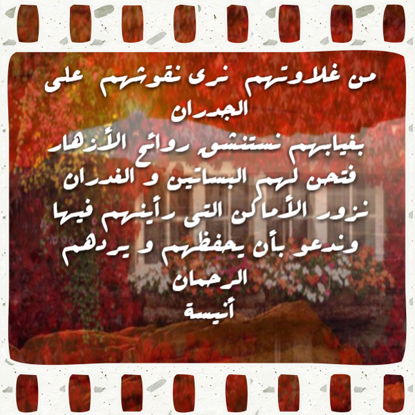hala1433a tweet picture