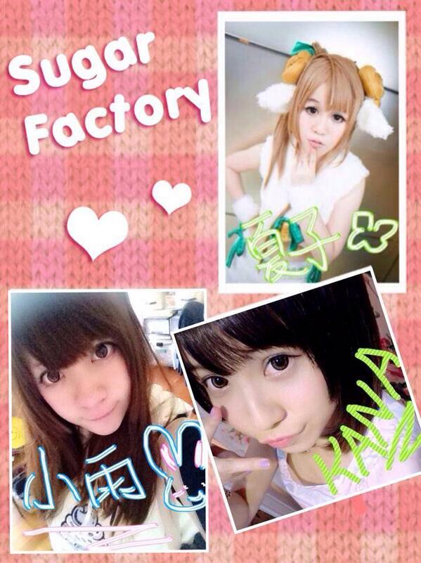 Sugar Factory Cafe 糖果工房 tweet media