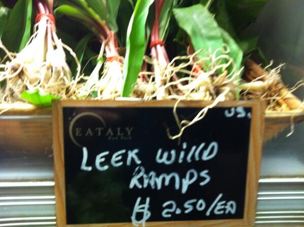 CalifCook's tweet image. Ramps baby leeks everywhere #NYC ramps #seriouslysimple