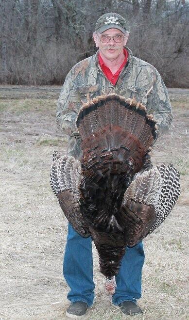 Here's a nice bird taken by our friend, Phil Polk from Maine!
