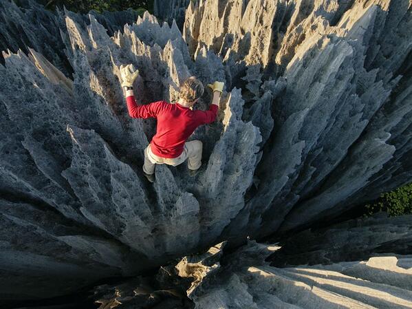 National Geographic tweet media