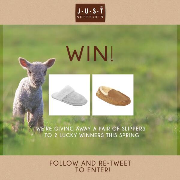 justsheepskin's tweet photo. #competition! We're giving away a pair of slippers to TWO lucky winners! #follow us and #rt to enter! #giveaway #win http://t.co/oyZ7GTDMLa
