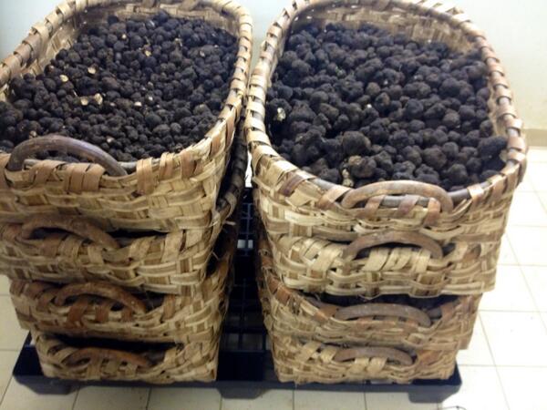 #summer #truffles just arrived!