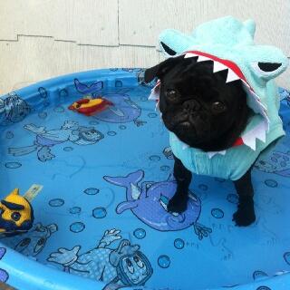 LilBuilding's tweet image. Leaving May 1st? Sign up for a check out time by 2pm today! tinyurl.com/ECClosing2014 #summer