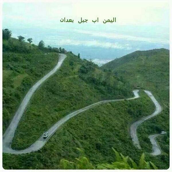 reference537 tweet picture