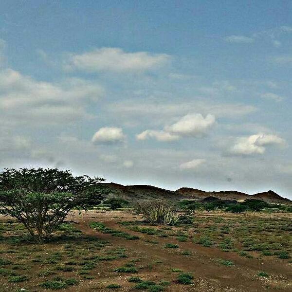 reference537 tweet picture
