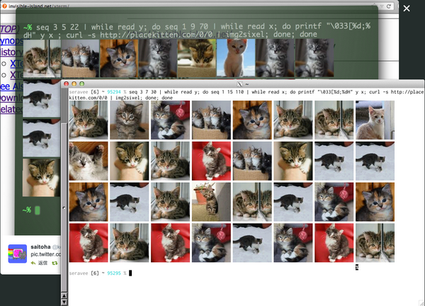 Sixel Graphics 長編まとめ・Sixel Graphics復活への動き(1) (75ページ目) - Togetter