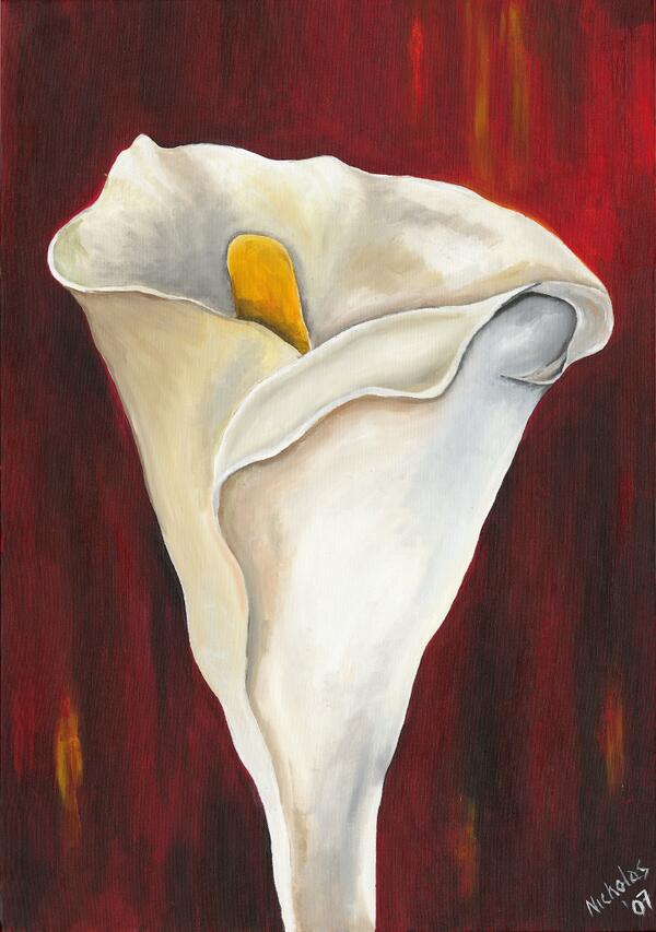 Nickyspaulding's tweet photo. A GORGEOUS CALLA: http://t.co/mljuXfgW5i  #art #painting #canvas #white  #nickyspauldingart #red  http://t.co/vHXqcxXLJ1