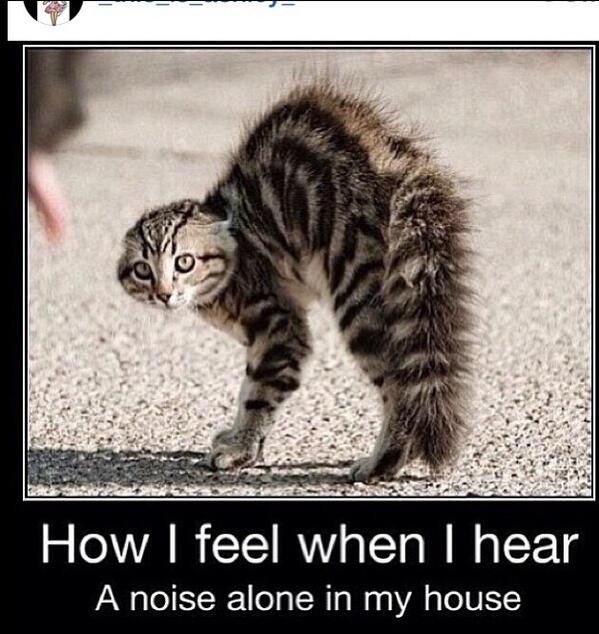 cmp466's tweet image. 