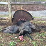 Photo by FinalCommitOutdoors (@FinalCommit)