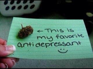 SuperJen78's tweet photo. #legalizeit 🌱 http://t.co/2jlqEU4bzB