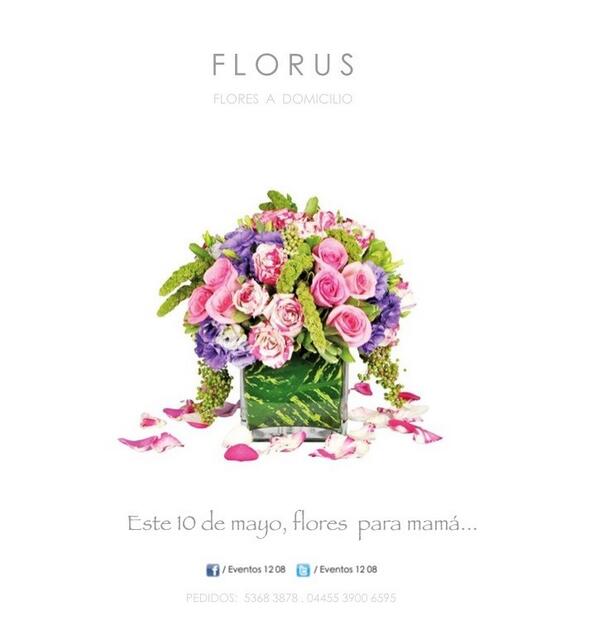 EVENTOS1208's tweet photo. FLORUS
Flores a domicilio... http://t.co/l9KJgCwaa1