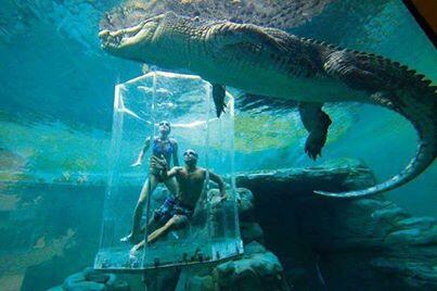 TheMindBlowing's tweet photo. Would you get in this Crocosaurus Cove Aquarium, Australia! http://t.co/TGifYvPQYv