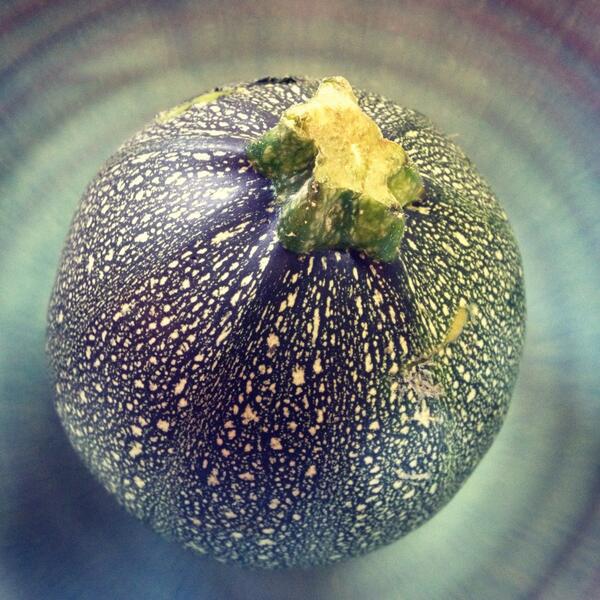 I have never seen a courgette like this before