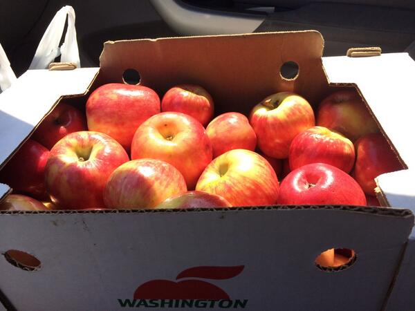 WhaatUp_D's tweet photo. Excuse me while I eat my weight in apples..... Just got this box for ten bucks. #washington http://t.co/YsDoyvRAl5