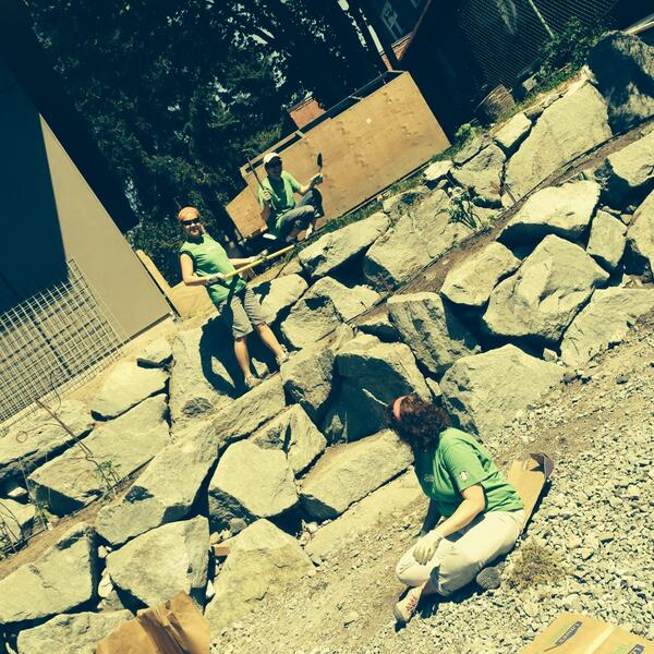 Rob Cameron tweet media