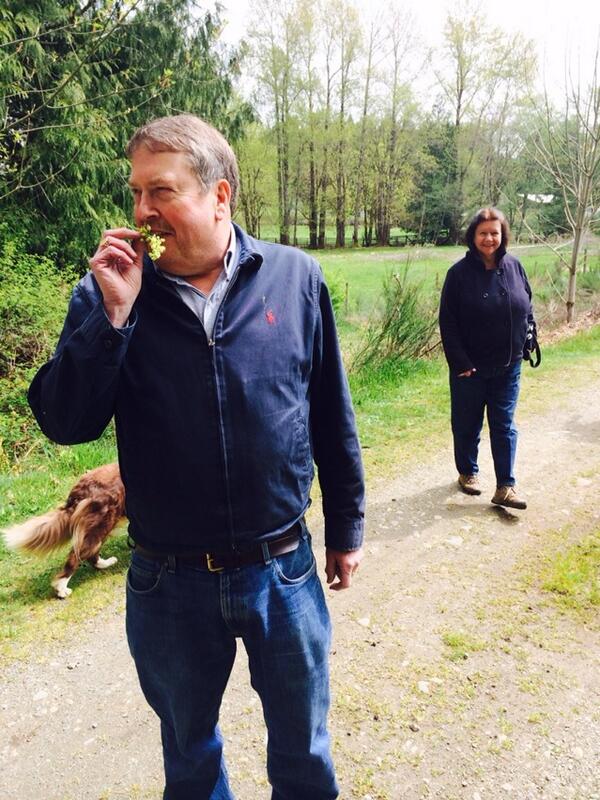 deerholme's tweet photo. RT @chizzypaterson: My dad @NigelPaterson1 at @deerholme farm yesterday "foraging." Never seen him have so much fun! http://t.co/CBz3jLLwQC