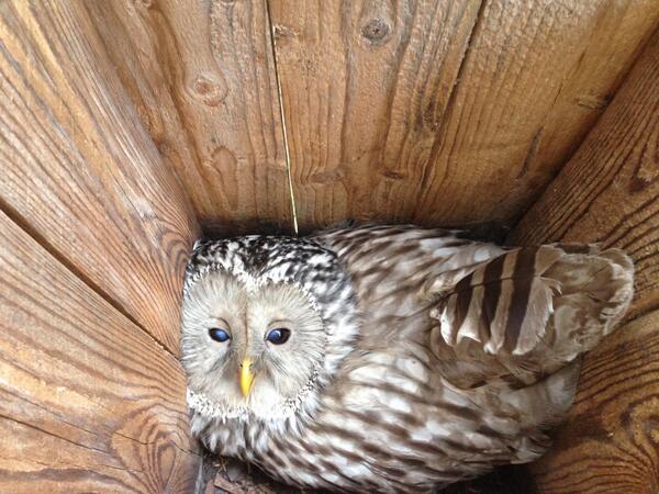 Jari Valkama tweet media