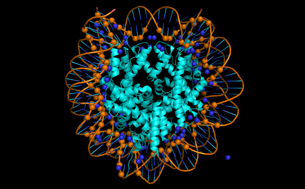 apaque_sha's tweet photo. Awed by PyMol, look at this amazing 3D model of DNA wrapped around a nucleosome. #science #pymol #DNA #histones http://t.co/FlyEgUqDvk