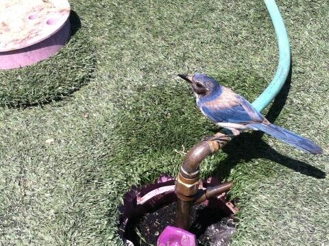 Andrea Kenney tweet media