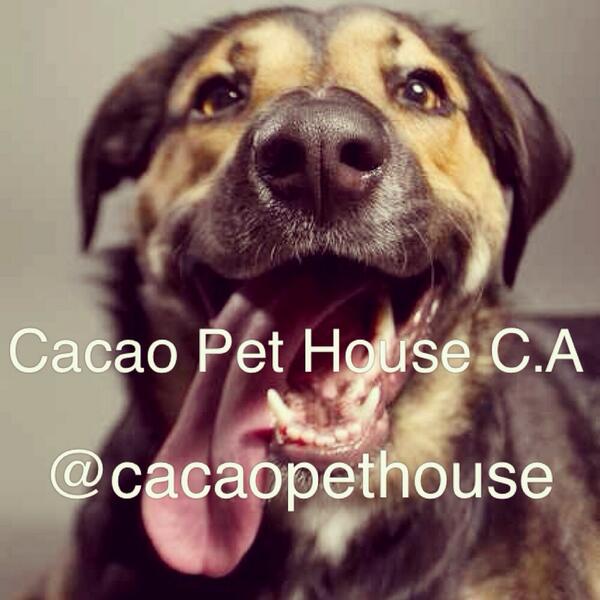 cacaopethouse's tweet photo. ¡Llego nueva mercancía!  
Síguenos en Instagram: @cacaopethouse y por Facebook: Cacao Pet House C.A http://t.co/ziU3iZvXBf