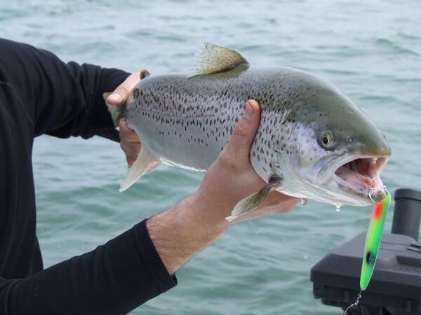 Had a great time fishing this weekends Spring Kotl. Now it's back to the east end for BT. #MichiganStinger #GinTonic