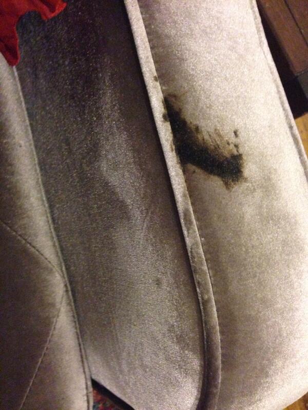 Jess_So_Cool's tweet image. Hey @twc @TWC_Help @TWC_NYNJ thanks for the giant oil stain on my brand new @UrbanOutfitters couch #paymeback #CSfail