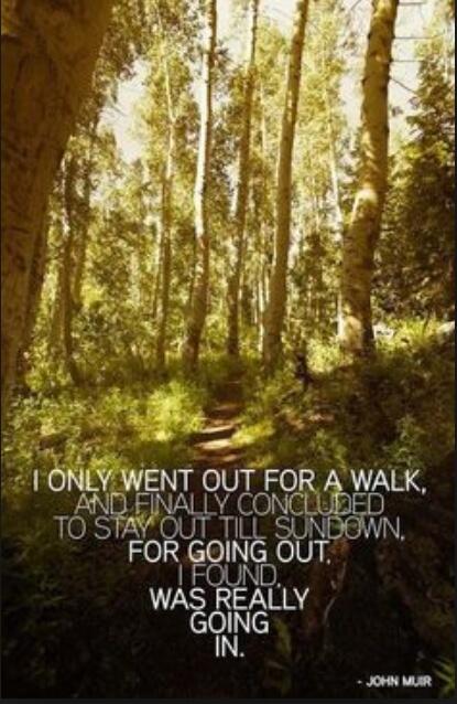 jeffgochs's tweet photo. 🍃🌻 http://t.co/CLX1pseerZ