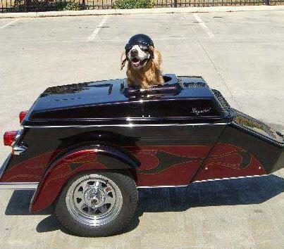 Jo_NZ_'s tweet photo. @srustic does it have a towbar? http://t.co/AesmVTzFUr via Shareaholic http://t.co/fWiZuDOYCR