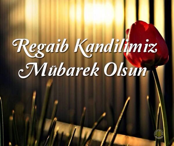 HASIAD's tweet photo. http://t.co/2UTmj04fv8