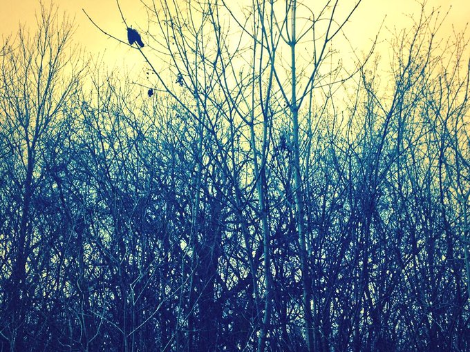 Tryna get signed http://t.co/6WhR2Ibtag<a href="/tag/bodyshaming"class="tags"><span>#bodyshaming</span></a>